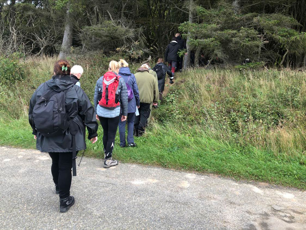 litteragaatur-rugtved-skov-nordjylland